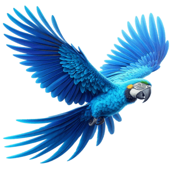 photo d'un Ara bleu