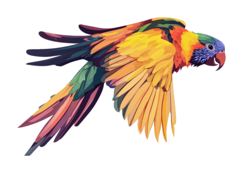 photo d'un Oiseau de paradis royal